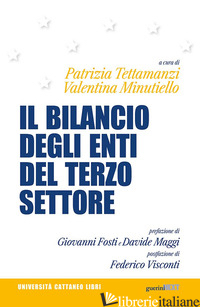 BILANCIO DEGLI ENTI DEL TERZO SETTORE (IL) - TETTAMANZI P. (CUR.); MINUTIELLO V. (CUR.)
