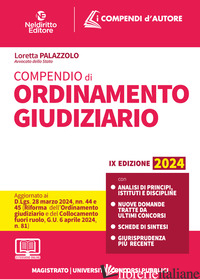 COMPENDIO DI ORDINAMENTO GIUDIZIARIO 2024. PER ORALE MAGISTRATURA E CONCORSI SUP - PETRALIA SIMONE