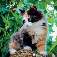 CALENDARIO GATTINI 2021 PICCOLO - AAVV