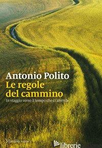 REGOLE DEL CAMMINO. IN VIAGGIO VERSO IL TEMPO CHE CI ATTENDE (LE) - POLITO ANTONIO