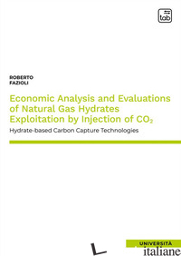 ECONOMIC ANALYSIS AND EVALUATIONS OF NATURAL GAS HYDRATES EXPLOITATION BY INJECT - FAZIOLI ROBERTO