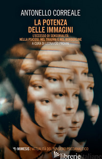 POTENZA DELLE IMMAGINI. L'ECCESSO DI SENSORIALITA' NELLA PSICOSI, NEL TRAUMA E N - CORREALE ANTONELLO; PROVINI L. (CUR.)