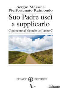 SUO PADRE USCI' A SUPPLICARLO. COMMENTO AL VANGELO DELL'ANNO C - MESSINA SERGIO; RAIMONDO PIERFORTUNATO