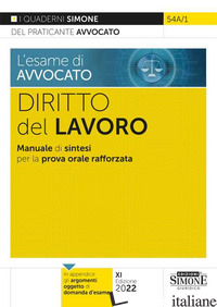 ESAME DI AVVOCATO. DIRITTO DEL LAVORO. MANUALE DI SINTESI PER LA PROVA ORALE RAF - AA VV