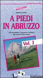 A PIEDI IN ABRUZZO. 106 PASSEGGIATE, ESCURSIONI E TREKKING ALLA SCOPERTA DELLA N - ARDITO STEFANO
