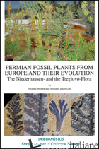 PERMAIN FOSSIL PLANTS FROM EUROPE AND THEIR EVOLUTION. THE NIEDERHAUSEN- AND THE - PERNER THOMAS; WACHTLER MICHAEL