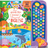 MIO GRANDE LIBRO SONORO DELLE PRIME PAROLE IN INGLESE. EDIZ. A COLORI (IL) - AA.VV.