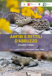 ANFIBI E RETTILI D'ABRUZZO. ATLANTE E GUIDA - DI TIZIO L. (CUR.); CARAFA M. (CUR.); CAMELI A. (CUR.)