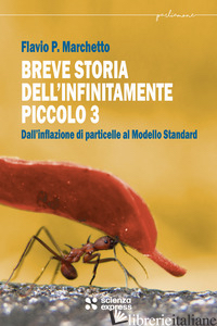 BREVE STORIA DELL'INFINITAMENTE PICCOLO. VOL. 3 - MARCHETTO FLAVIO P.