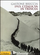 1915: L'ITALIA VA IN TRINCEA. EDIZ. ILLUSTRATA - BRECCIA GASTONE