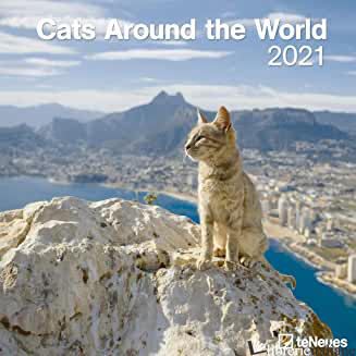 CATS AROUND THE WORLD - 