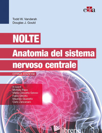 NOLTE - ANATOMIA DEL SISTEMA NERVOSO CENTRALE - VANDERAH TODD W.; GOULD DOUGLAS J.