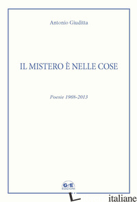 MISTERO E' NELLE COSE. POESIE 1968-2013 (IL) - GIUDITTA ANTONIO