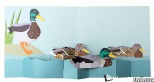 Birds ducks pop up card - SHERI SAFRAN