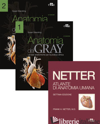 NETTER GRAY. L'ANATOMIA: ANATOMIA DEL GRAY-ATLANTE DI ANATOMIA UMANA DI NETTER - NETTER FRANK H.; STANDRING SUSAN