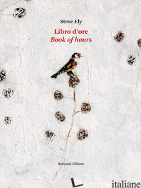 LIBRO D'ORE - ELY STEVE; GIABARDO M. (CUR.)