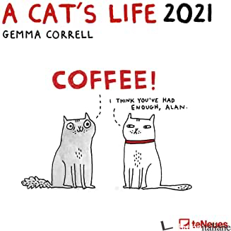 A CAT'S LIFE - 