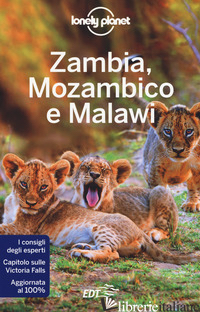 ZAMBIA, MOZAMBICO E MALAWI - FITZPATRICK MARY; BAINBRIDGE JAMES; HOLDEN TRENT; SAINSBURY BRENDAN