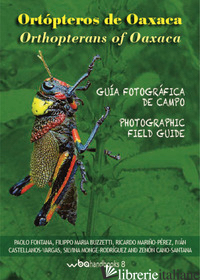 ORTOPTEROS DE OAXACA. FOTOGRAFICA DE CAMPO-ORTHOPTERANS OF OAXACA. PHOTOGRAPHIC  - 