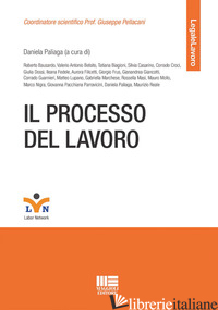 PROCESSO DEL LAVORO (IL) - PALIAGA D. (CUR.)