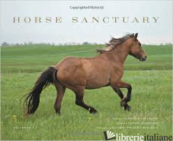 HORSE SANCTUARY - ALLISON MILIONIS, WITH PHOTOGRAPHY BY KAREN TWEEDY-HOLMES AND A FOREWORD BY TEMP
