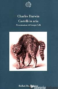 CASTELLI IN ARIA. TACCUINI M. N. PROFILO DI UN BAMBINO - DARWIN CHARLES; CELLI G. (CUR.)
