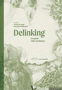 DELINKING. LO SPAZIO DELLA COESISTENZA. EDIZ. ILLUSTRATA - DI CAMPLI A. (CUR.); GABBIANELLI A. (CUR.)