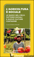 AGRICOLTURA E' SOCIALE. LE RADICI DEL CIELO: FATTORIE SOCIALI E NUOVE CULTURE CO - BRIOSCHI R. (CUR.)