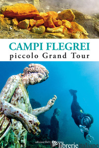 CAMPI FLEGREI. PICCOLO GRAND TOUR - WANDERLINGH ATTILIO