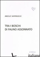 TRA I BOSCHI DI FAUNO ASSONNATO - SANTANGELO ANGELO