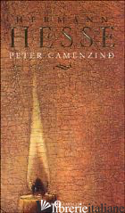 PETER CAMENZIND - HESSE HERMANN