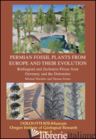 FOSSIL PERMAIN PLANTS FROM EUROPE AND THEIR EVOLUTION 0173ROTLIEGEND AND ZECHSTE - WACHTLER MICHAEL; PERNER THOMAS