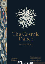 The Cosmic Dance: Finding patterns and pathways in a chaotic universe