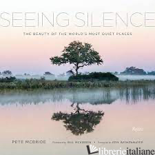 Seeing Silence