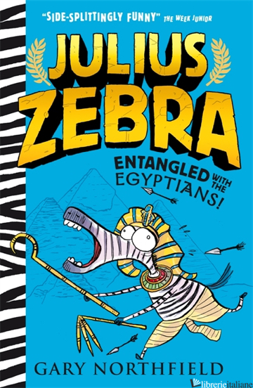 Julius Zebra: Entangled with the Egyptians!