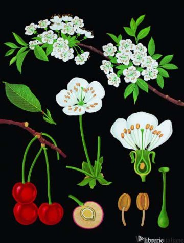 ESAURITO --- Art of Instruction Journal, The