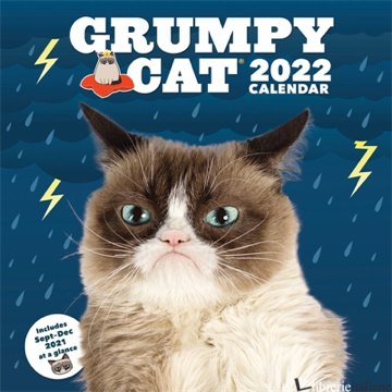 Grumpy Cat 2022 Wall Calendar