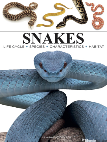 Mini Encyclopedia: Snakes