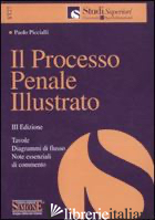 PROCESSO PENALE ILLUSTRATO. TAVOLE, DIAGRAMMI DI FLUSSO, NOTE ESSENZIALI DI COMM