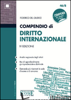 COMPENDIO DI DIRITTO INTERNAZIONALE