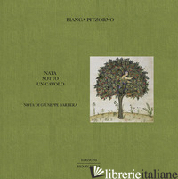 NATA SOTTO UN CAVOLO. EDIZ. ILLUSTRATA