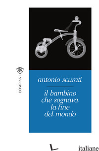 BAMBINO CHE SOGNAVA LA FINE DEL MONDO (IL)