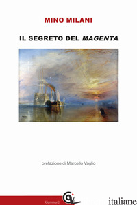 SEGRETO DEL MAGENTA (IL)