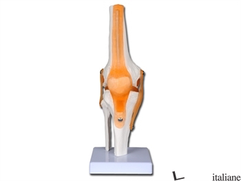 GINOCCHIO LINEA VALUE