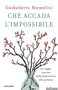 Copertina del libro CHE ACCADA L'IMPOSSIBILE. UN VIAGGIO INTERIORE DALLA DISPERAZIONE ALLA SPERANZA