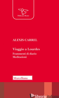 Copertina del libro VIAGGIO A LOURDES. FRAMMENTI DI DIARIO. MEDITAZIONI. NUOVA EDIZ.